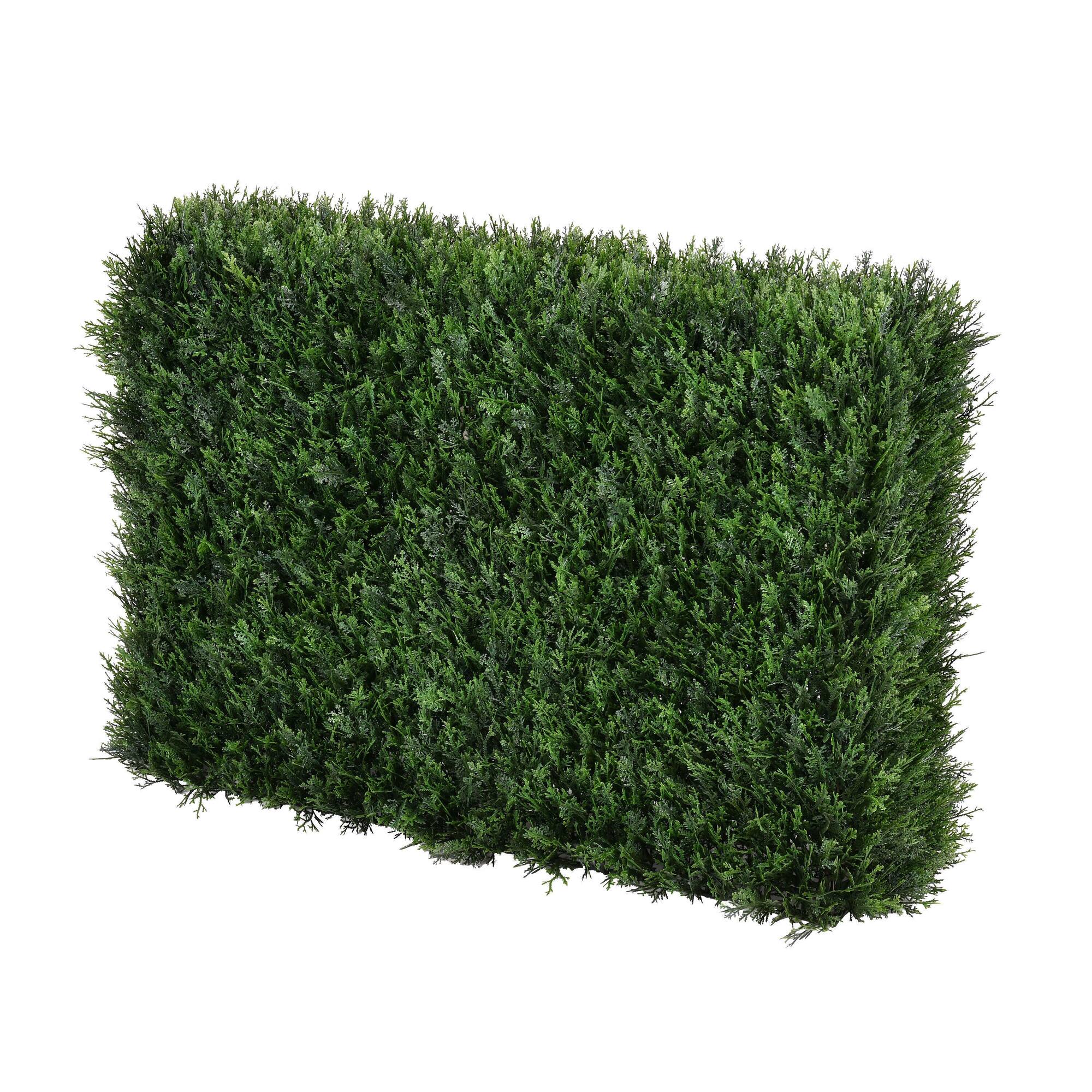 6ft. Cedar Hedge
